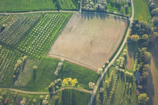 farmland